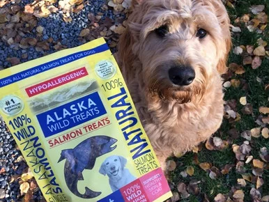 alaskamillandfeed-3433906
