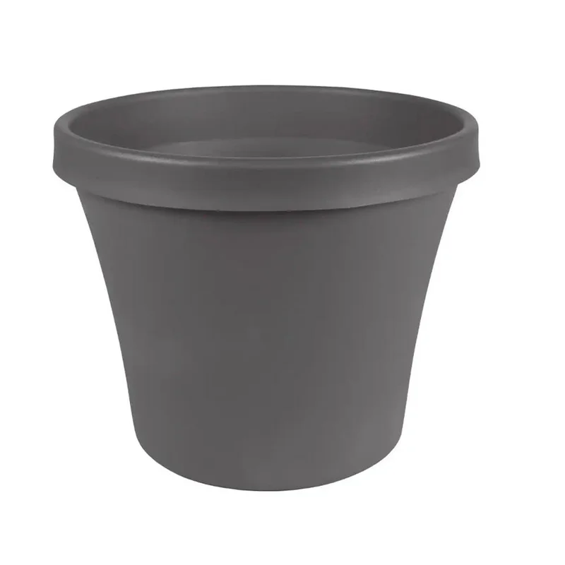 alsipnursery13417598