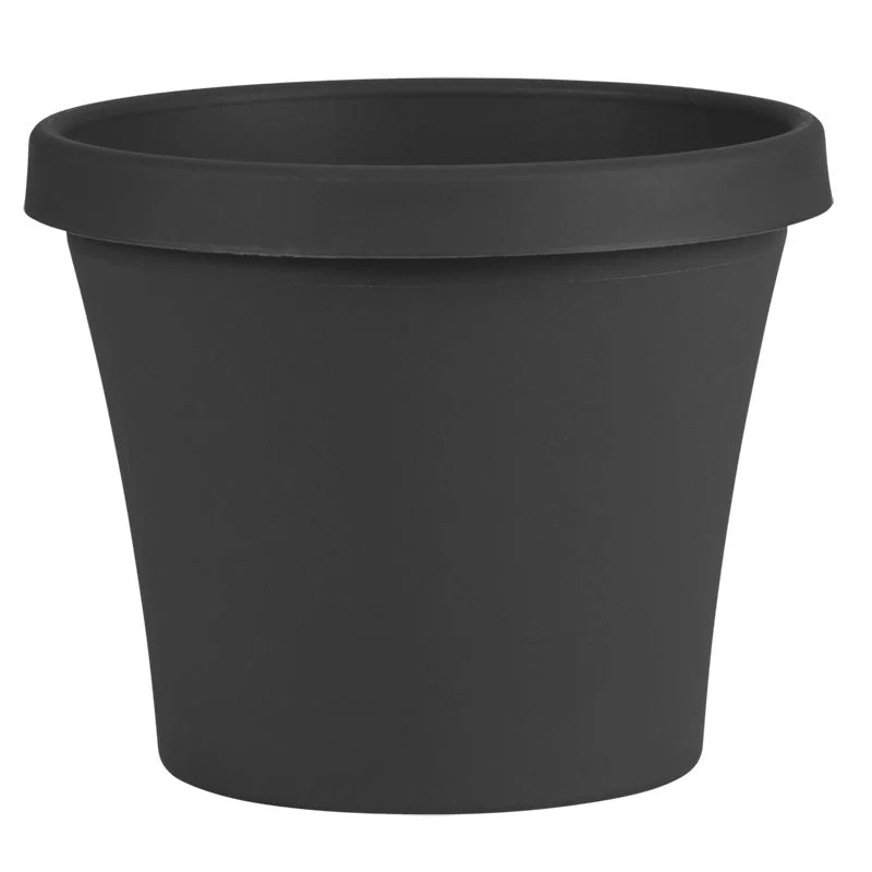 alsipnursery13417670