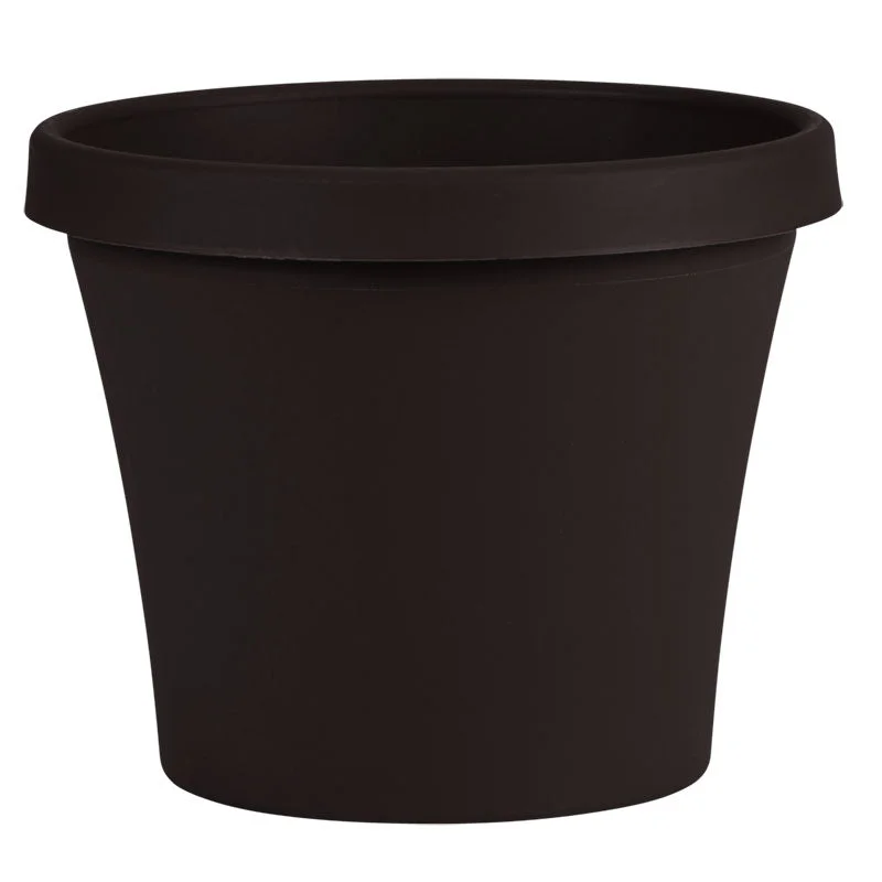 alsipnursery13417750