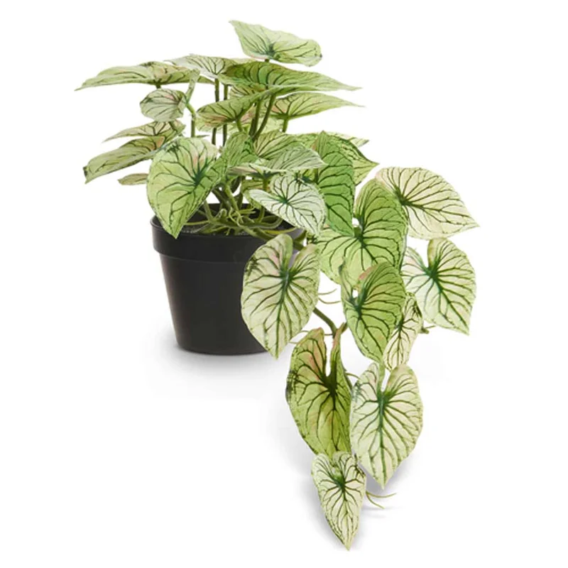 alsipnursery13419425