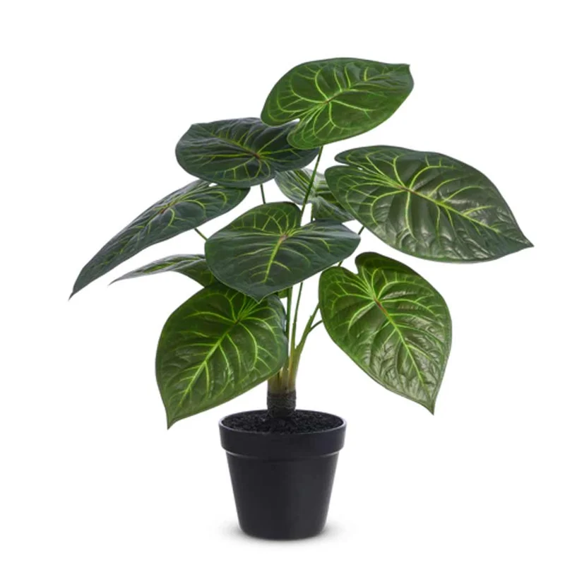 alsipnursery13419452