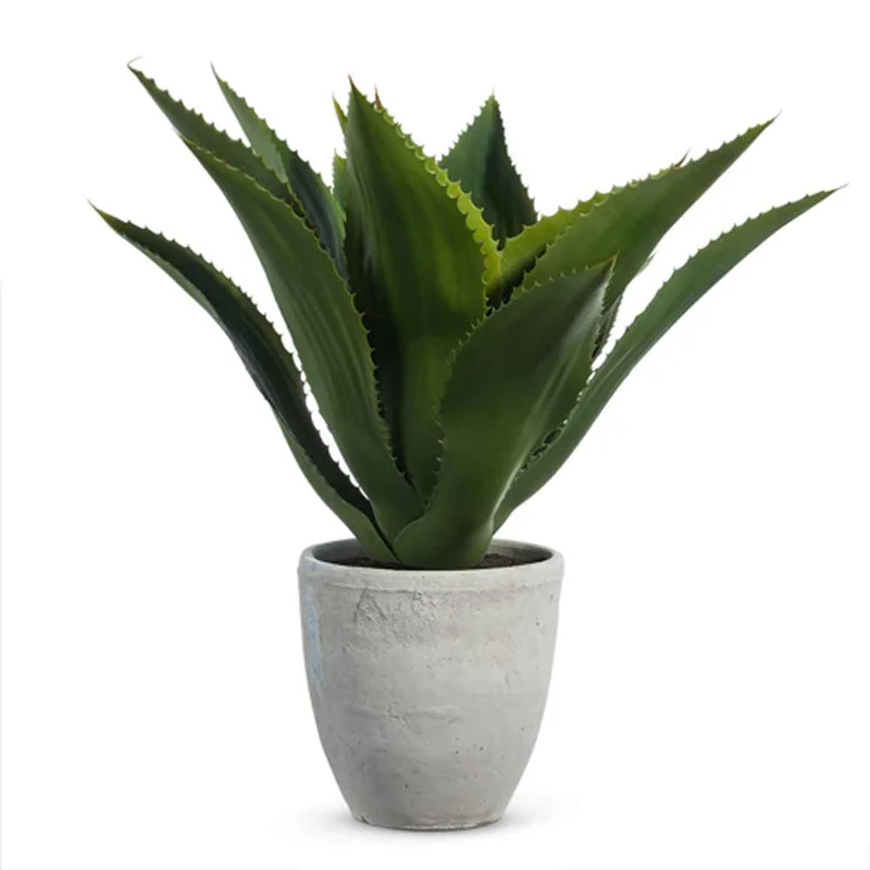 alsipnursery13419455