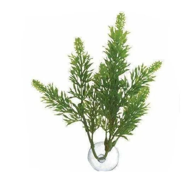 alsipnursery13420176