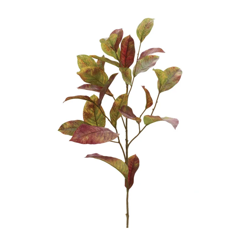 alsipnursery13458326