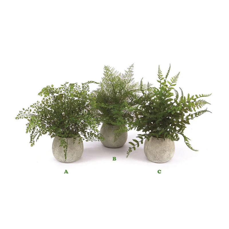alsipnursery13472453