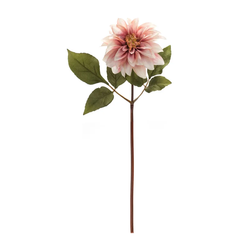 alsipnursery13472485