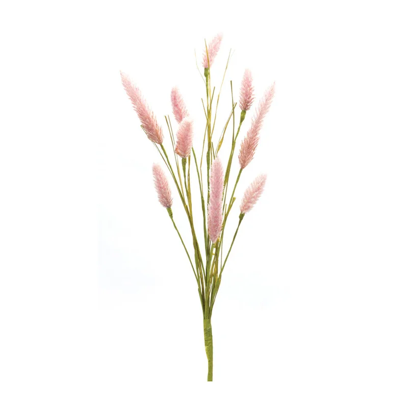 alsipnursery13472501