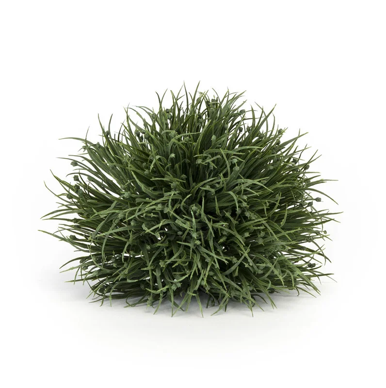 alsipnursery13472548