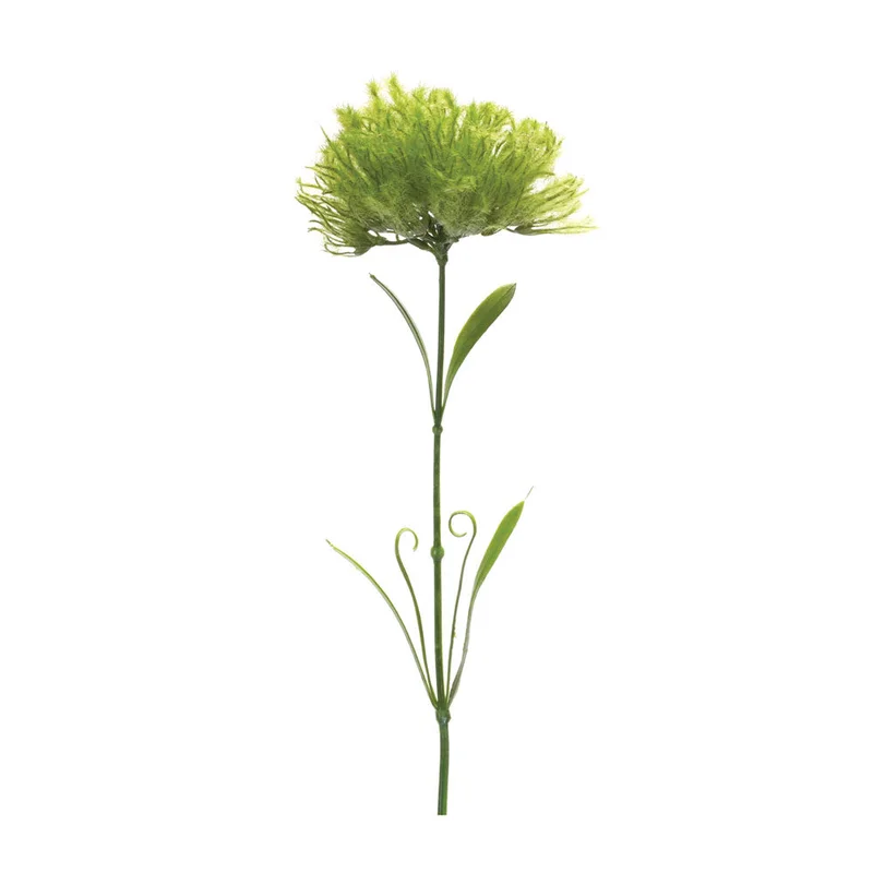 alsipnursery13472647