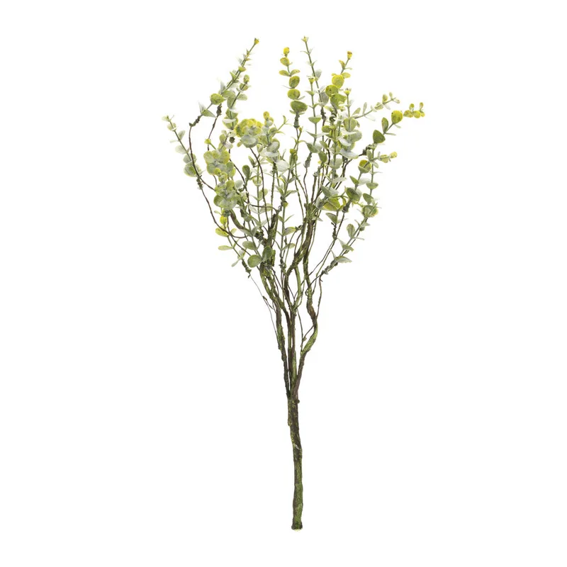 alsipnursery13472779