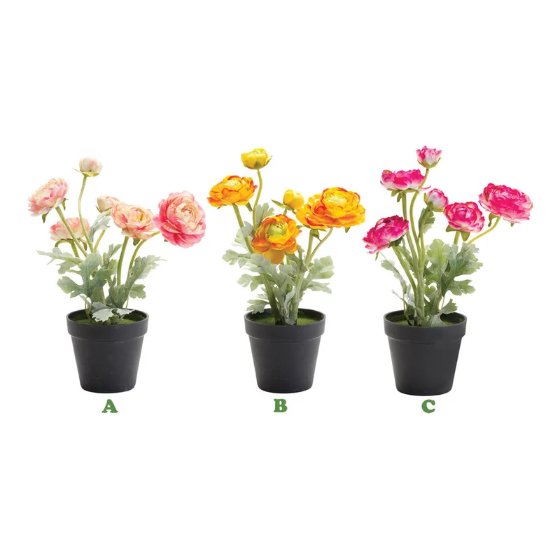 alsipnursery13472807