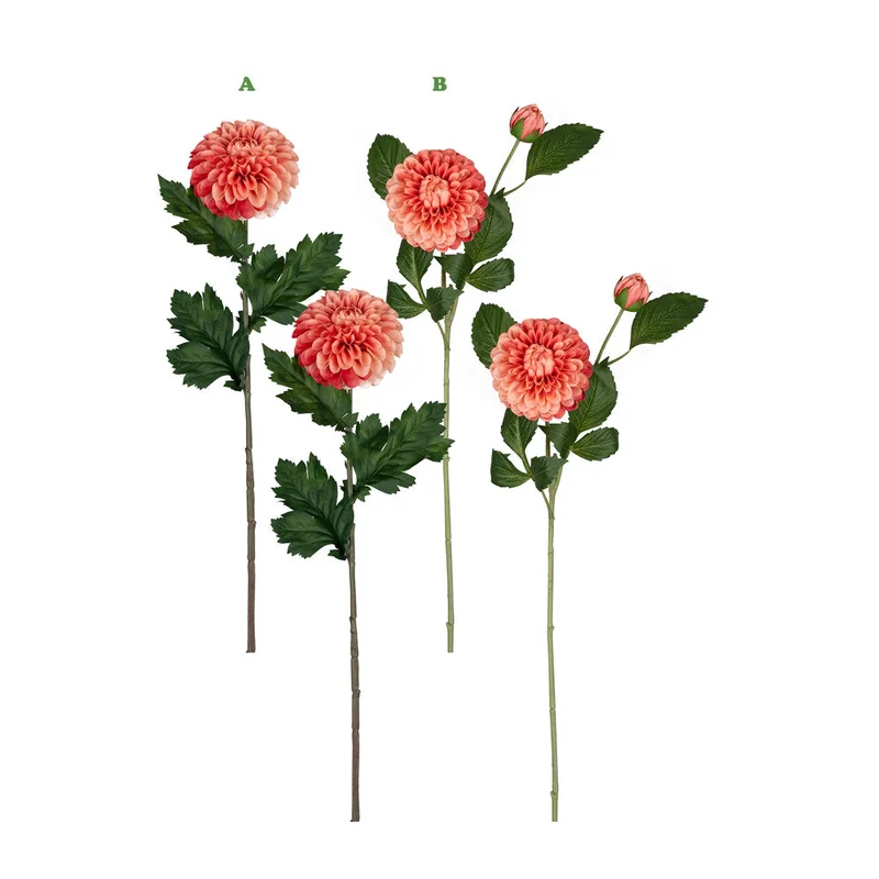 alsipnursery13472863