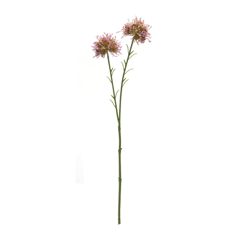 alsipnursery13472879