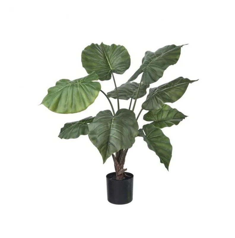 alsipnursery13473357