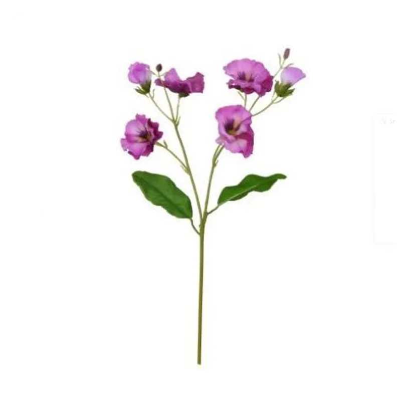 alsipnursery13473380
