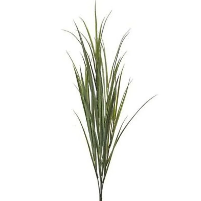 alsipnursery13473434