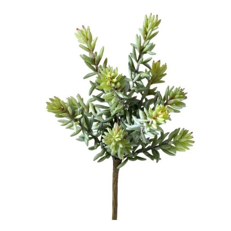 alsipnursery13473529