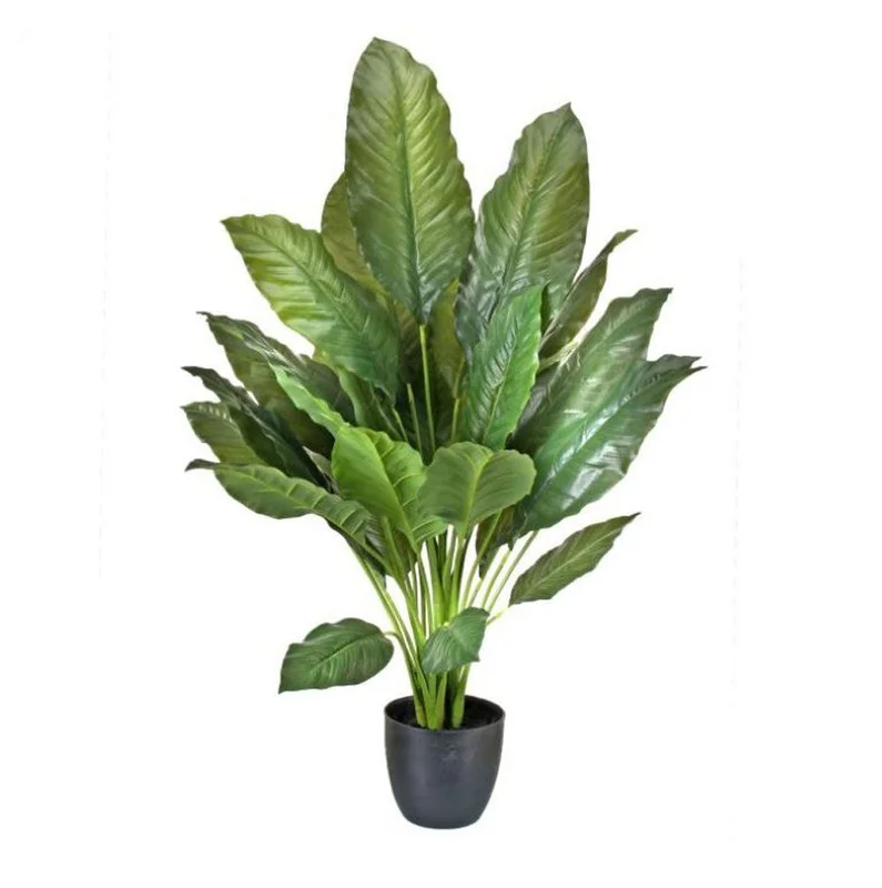 alsipnursery13473537