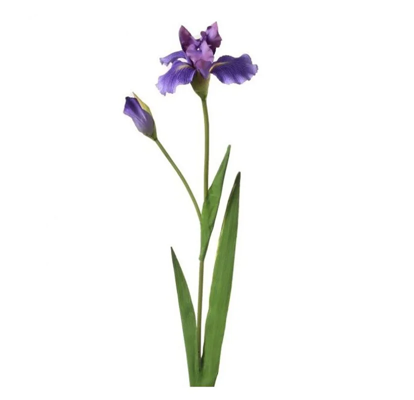 alsipnursery13473543