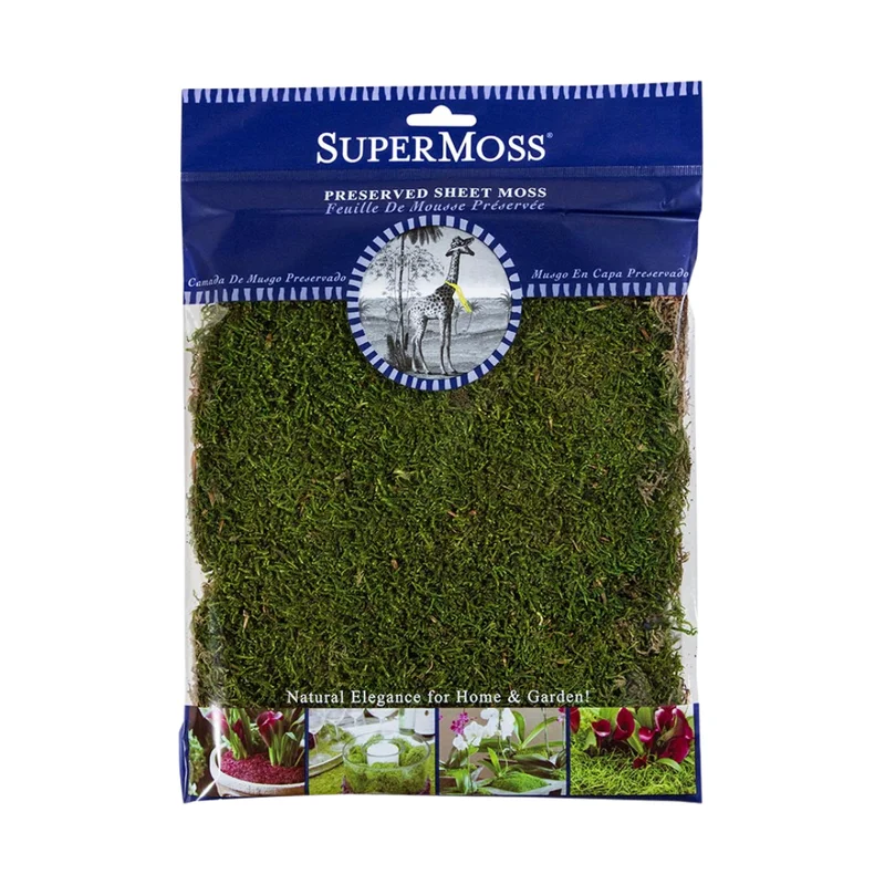 alsipnursery13477671