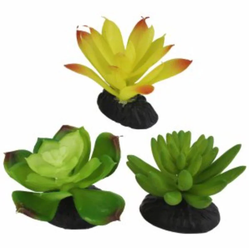 alsipnursery13477886