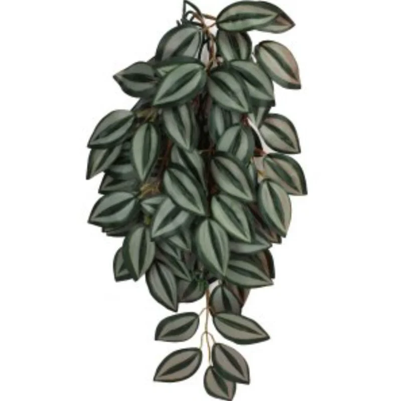 alsipnursery13477906
