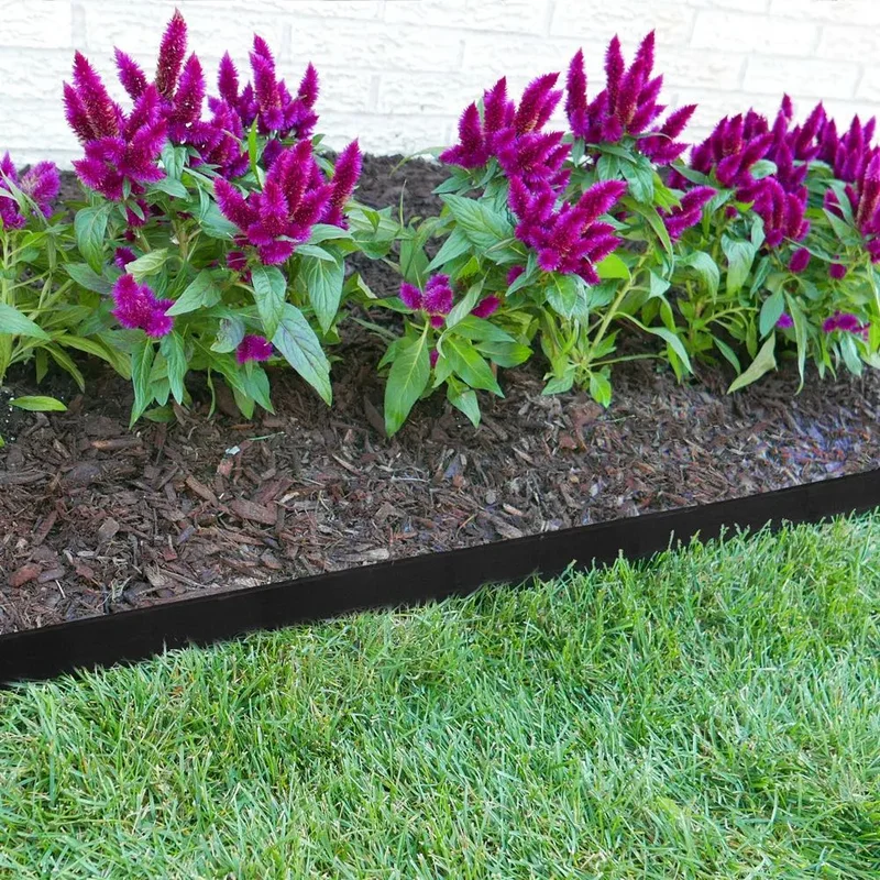 alsipnursery13479184