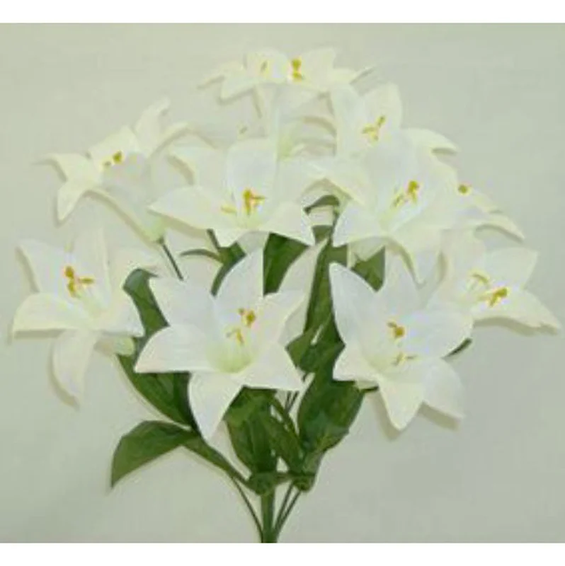 alsipnursery13479664