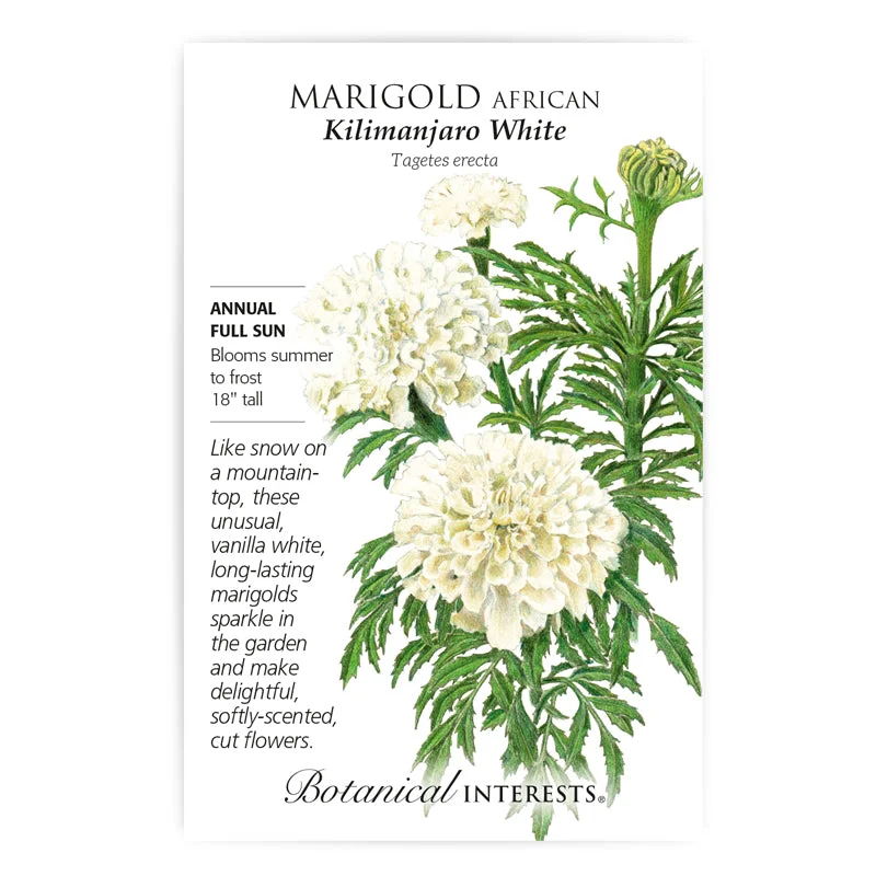 alsipnursery13481285