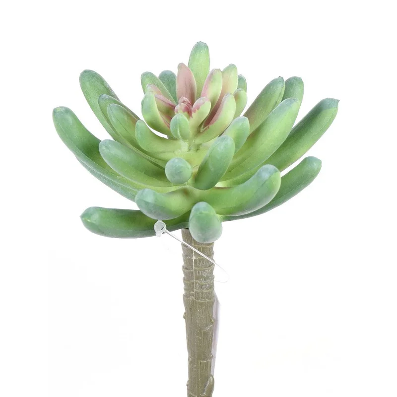 alsipnursery13484367