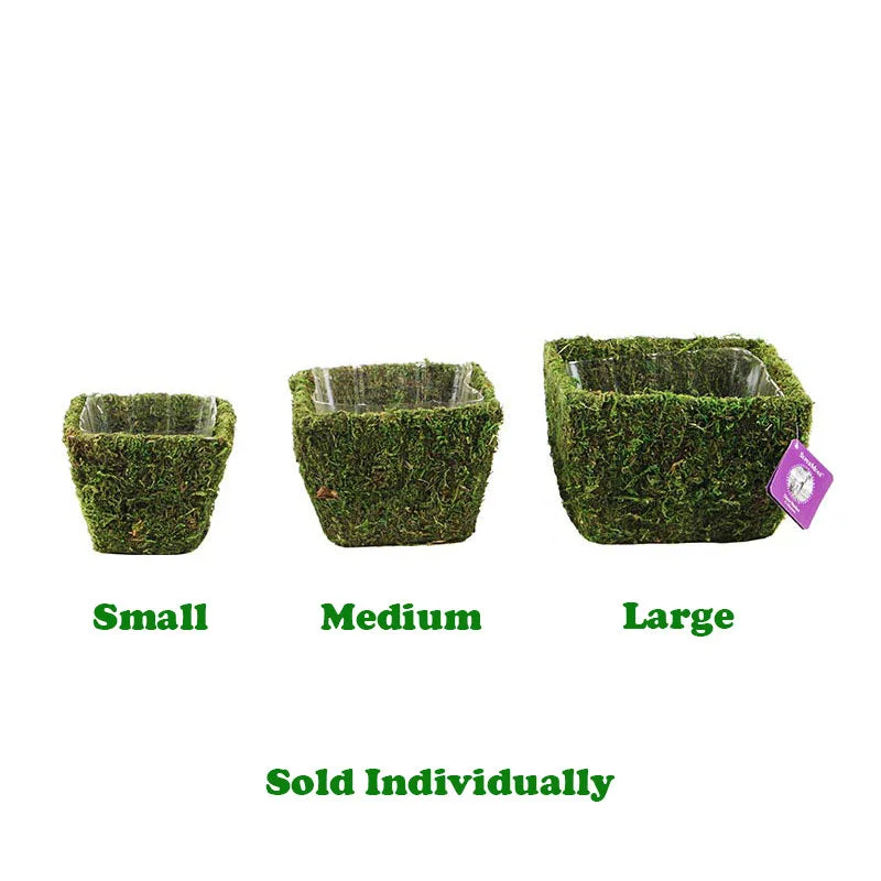 alsipnursery13484378