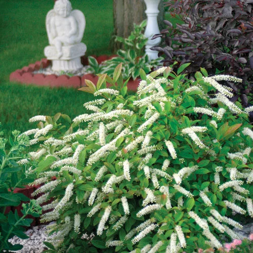 alsipnursery13487288