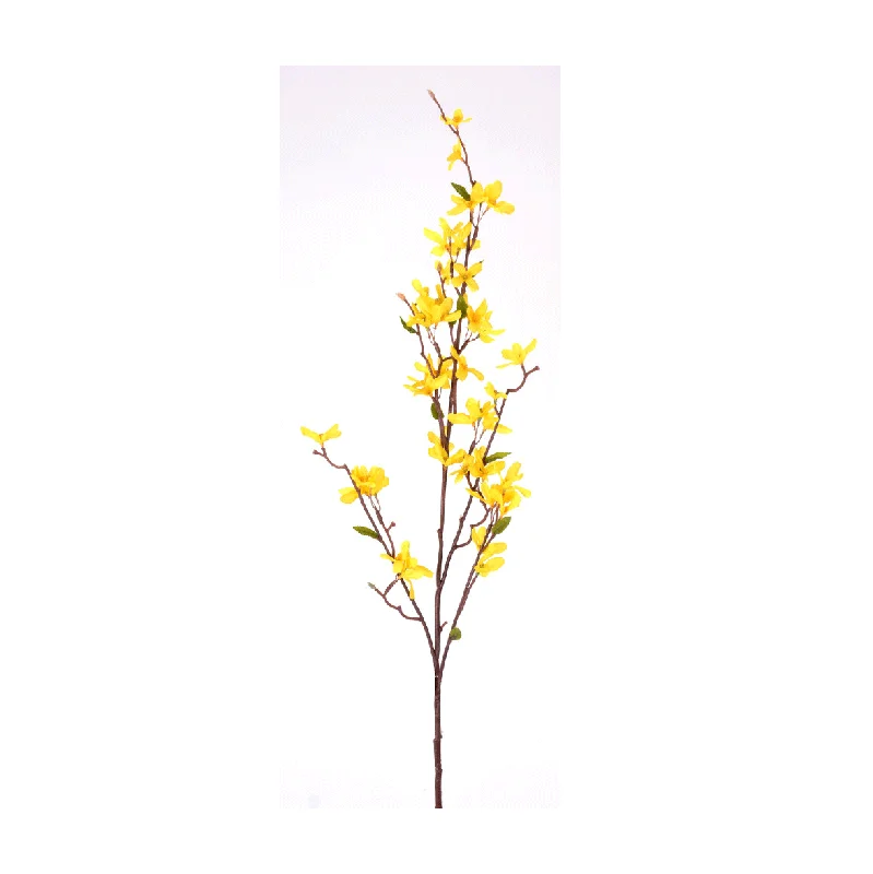 alsipnursery13487634