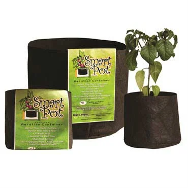 alsipnursery13488467