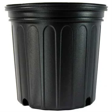 alsipnursery13488488