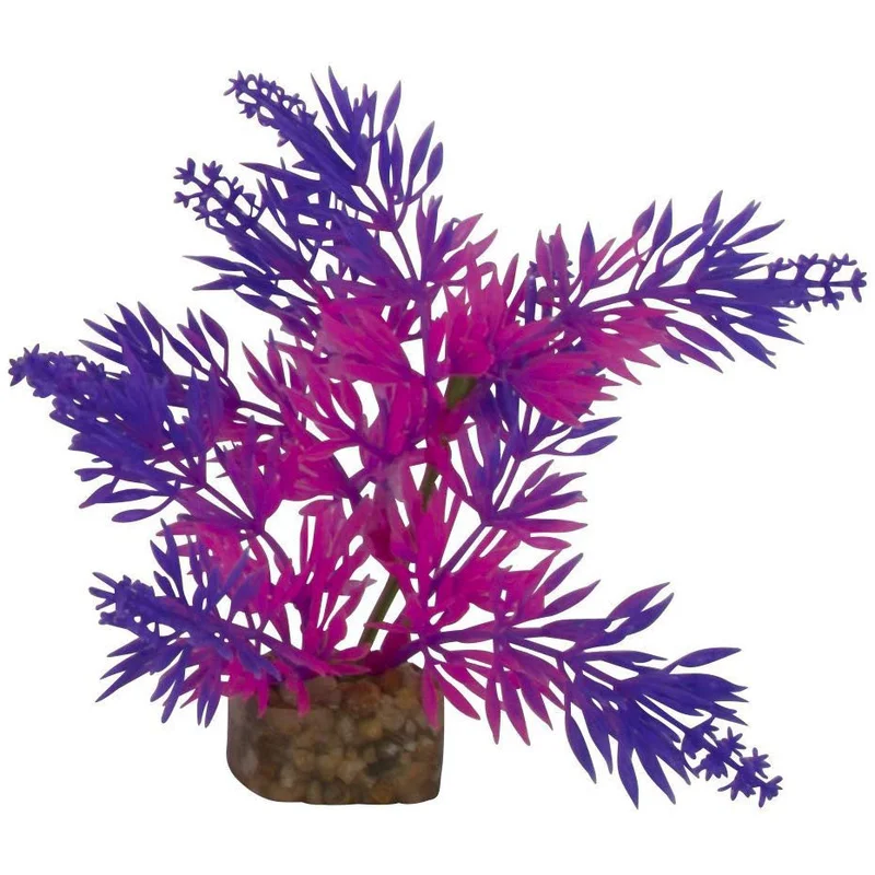 alsipnursery23417843