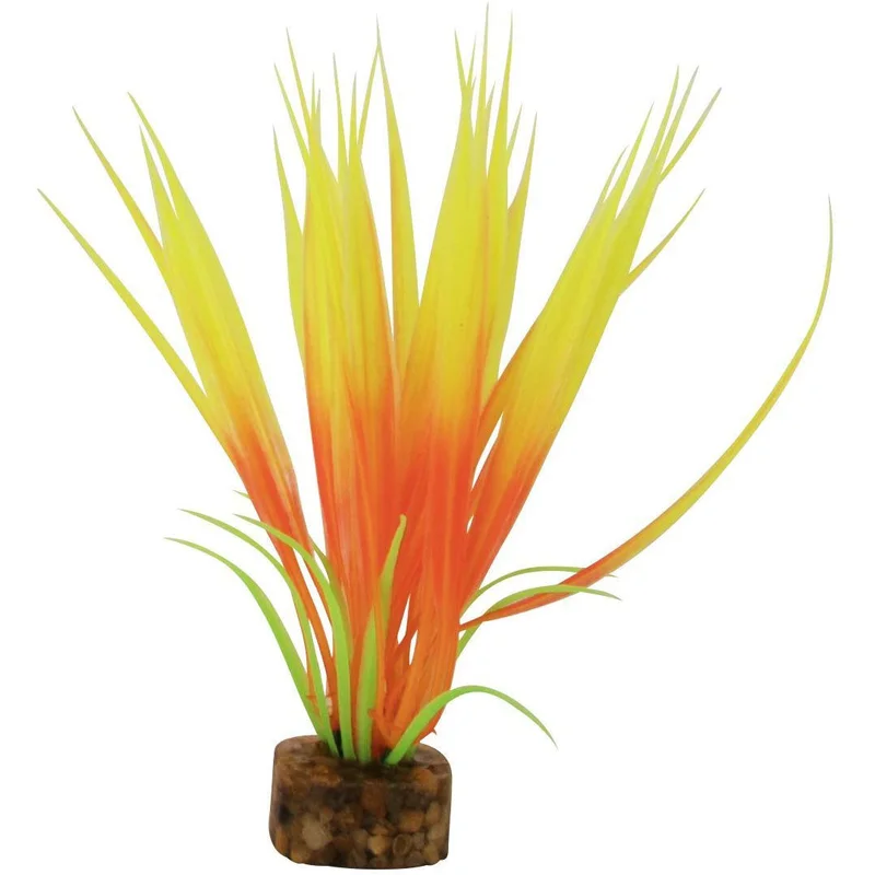 alsipnursery23417851
