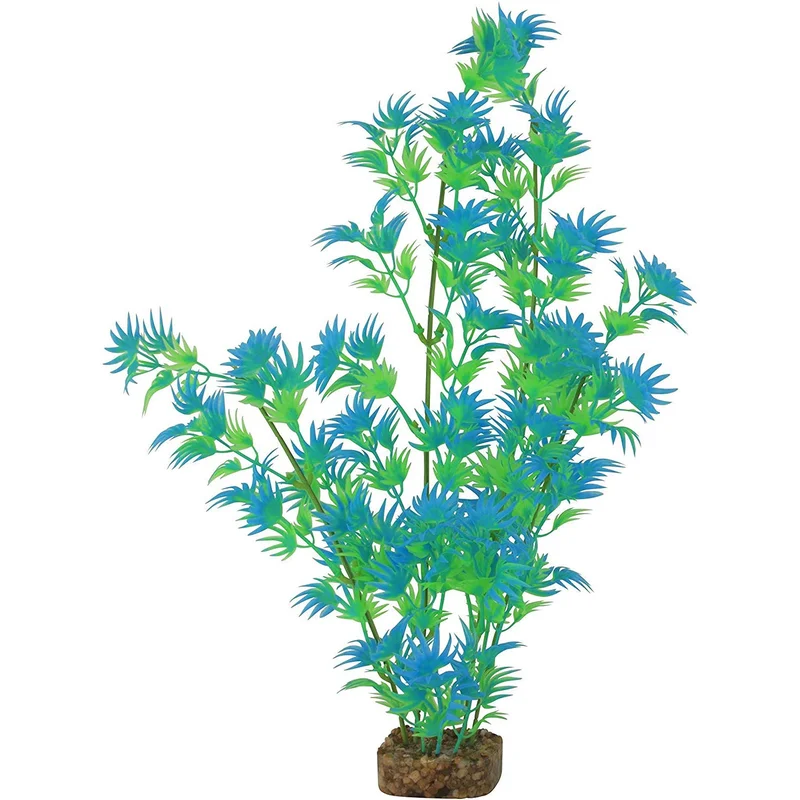 alsipnursery23417876