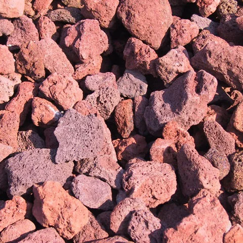 alsipnursery23418367