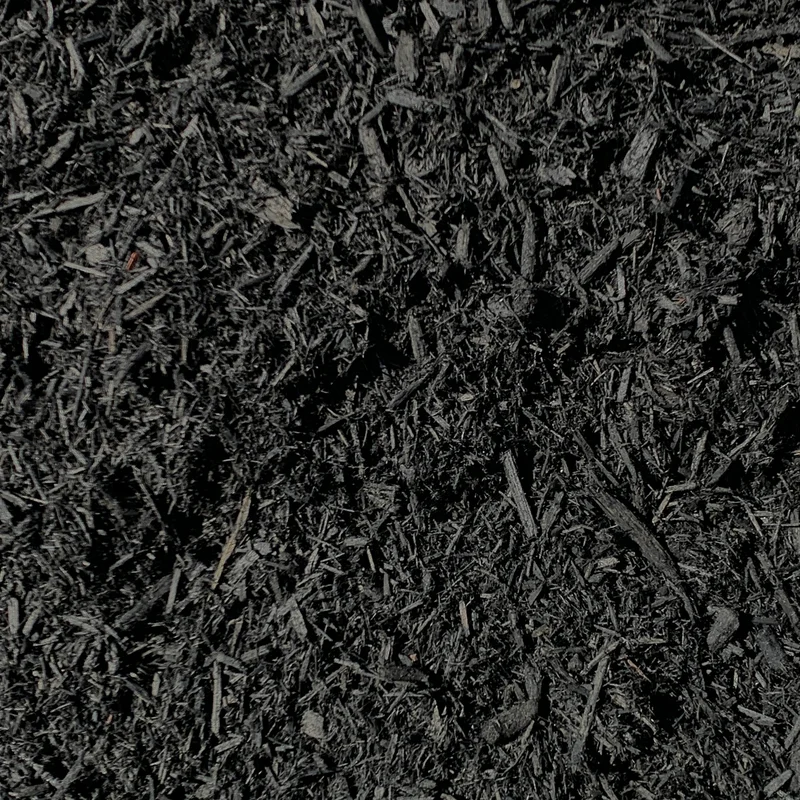 alsipnursery23419375
