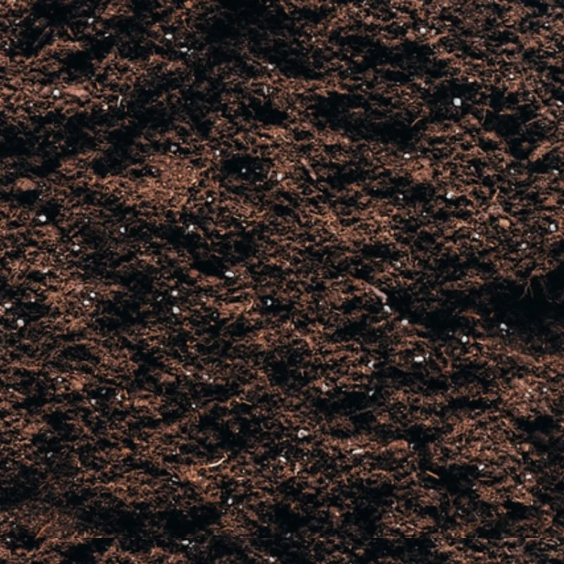 alsipnursery23419378