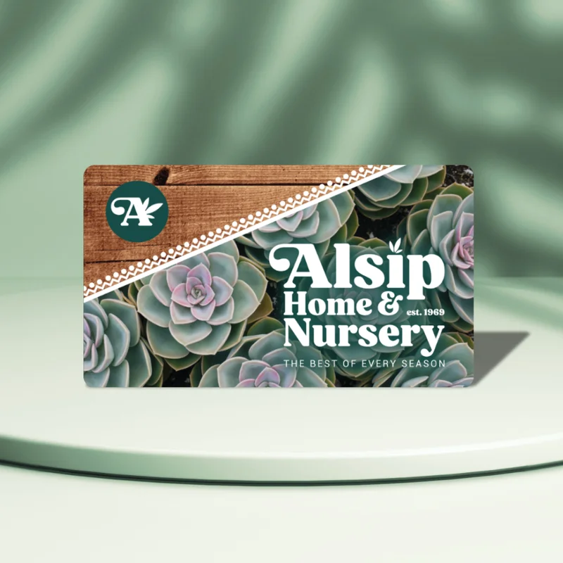 alsipnursery23419429