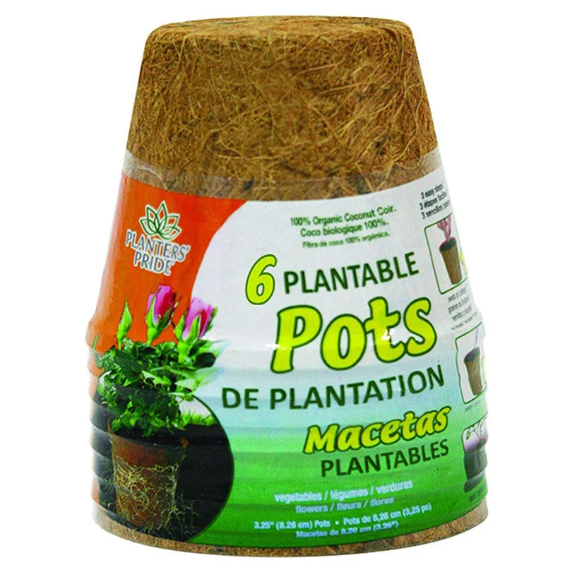 alsipnursery23419535