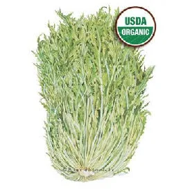 alsipnursery23420862