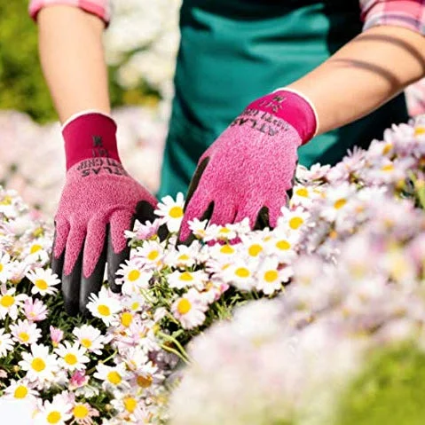 alsipnursery23473977