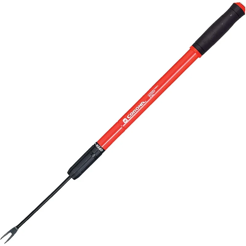 atwoods-3385926