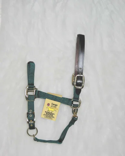 countrymax-3441200