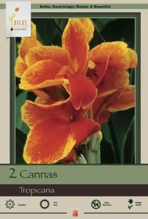 countrymax-3441894