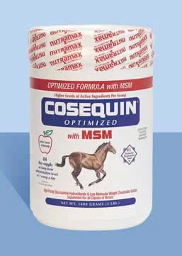 countrymax-3448076